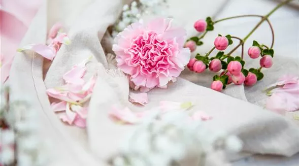 AdventMaxi2024.jpg _MGL0319.jpg