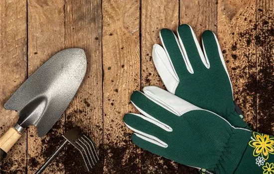 Rechtzeitig für das kommende Gartenjahr den Garten vorbereiten Rechtzeitig für das kommende Gartenjahr den Garten vorbereiten